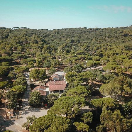 Camping Ladouceur Ramatuelle Exteriér fotografie