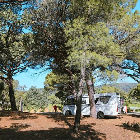 Camping Ladouceur Ramatuelle Exteriér fotografie
