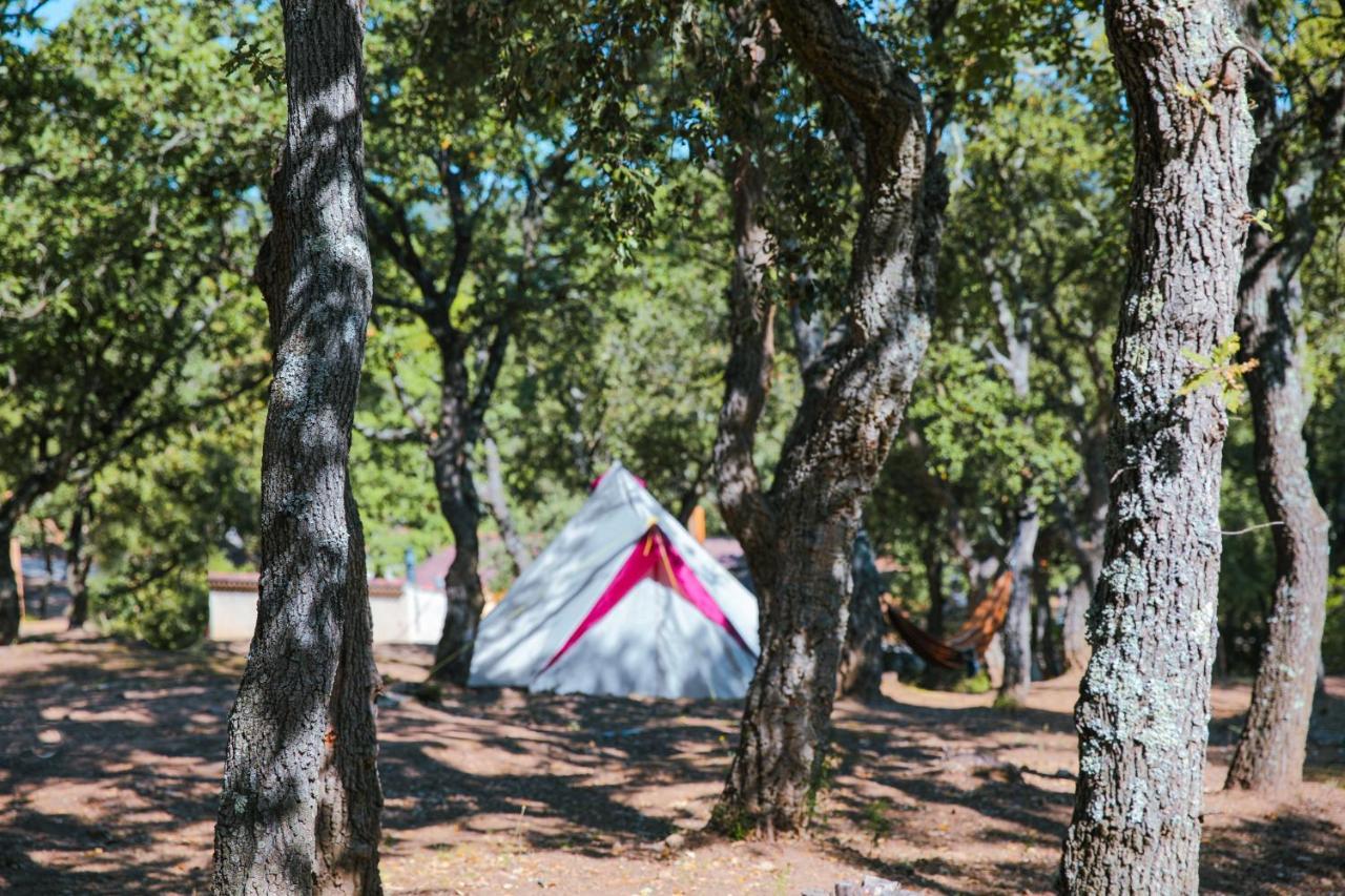 Camping Ladouceur Ramatuelle Exteriér fotografie
