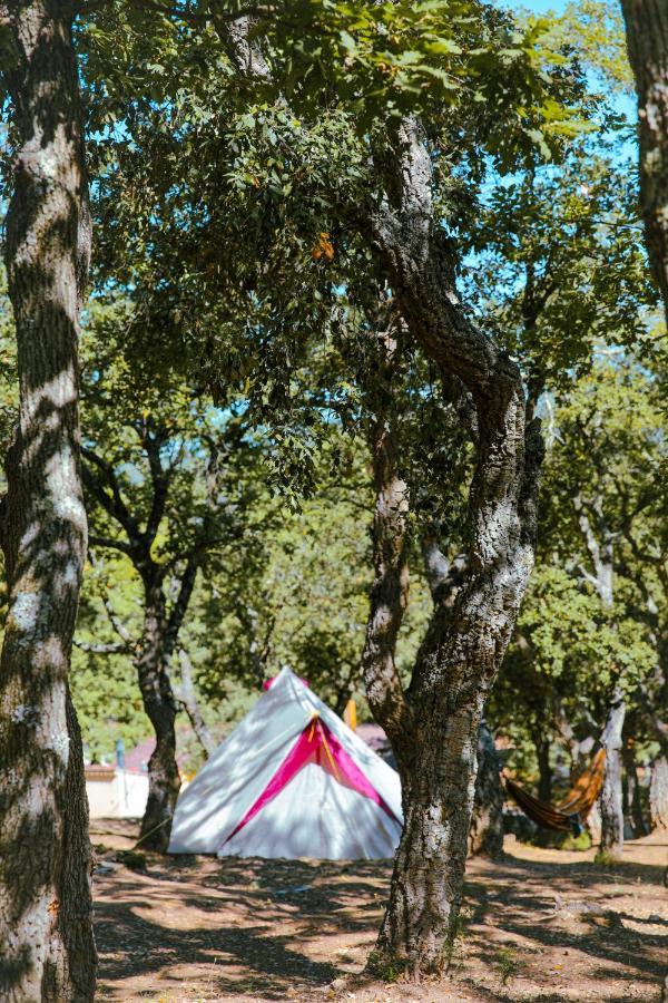 Camping Ladouceur Ramatuelle Exteriér fotografie
