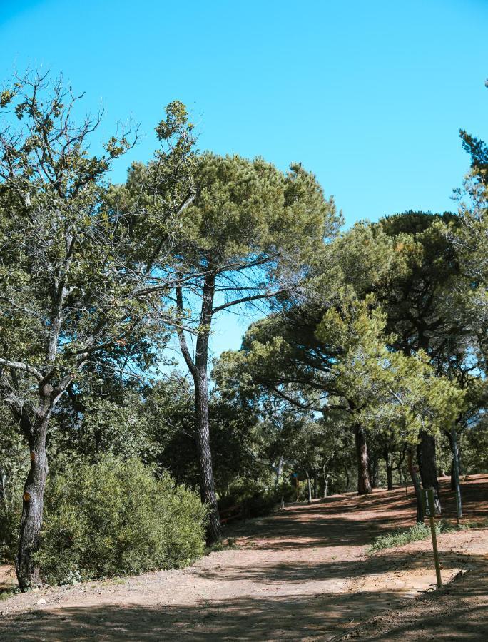 Camping Ladouceur Ramatuelle Exteriér fotografie