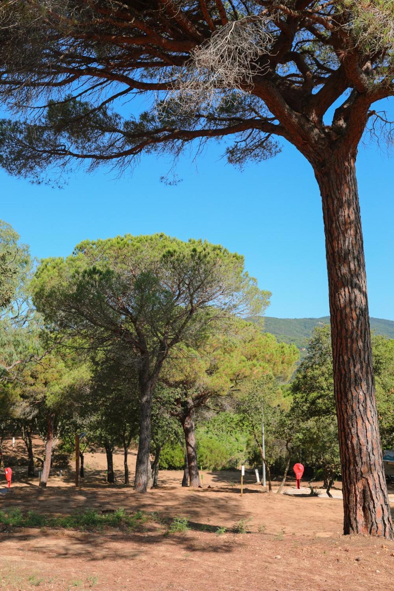 Camping Ladouceur Ramatuelle Exteriér fotografie