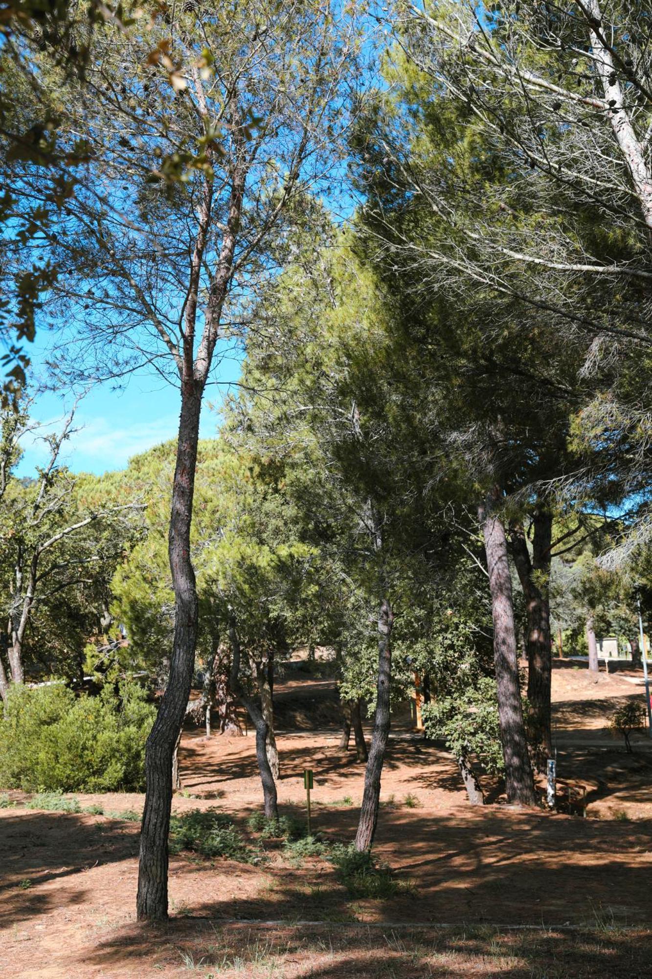 Camping Ladouceur Ramatuelle Exteriér fotografie