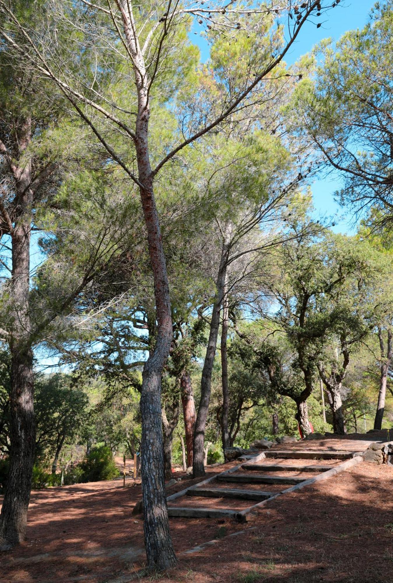 Camping Ladouceur Ramatuelle Exteriér fotografie